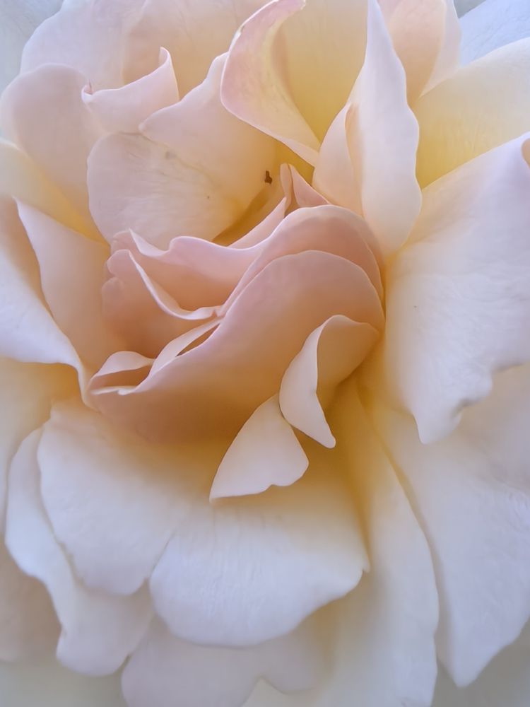 Photograph by Наталья Асоскова