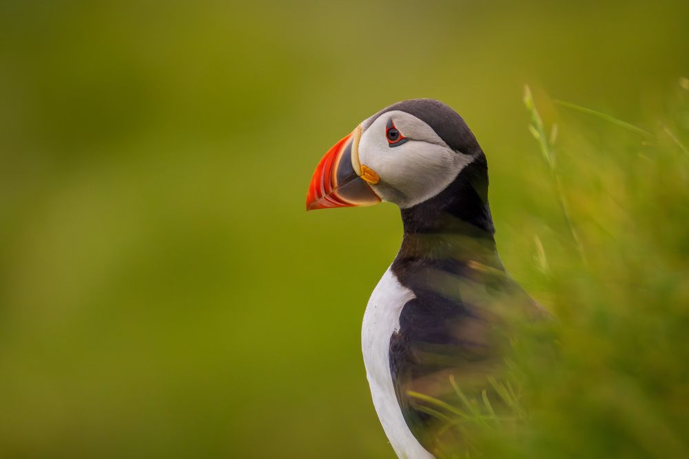 Photograph by Abhishek