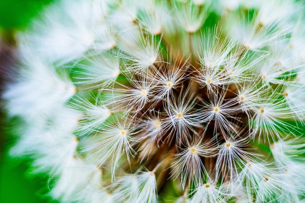 Photograph by Кокорин Алексей