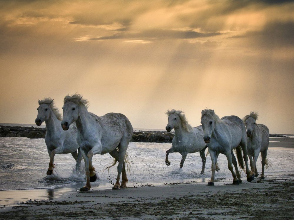 Photograph by Adrian Adi Gli