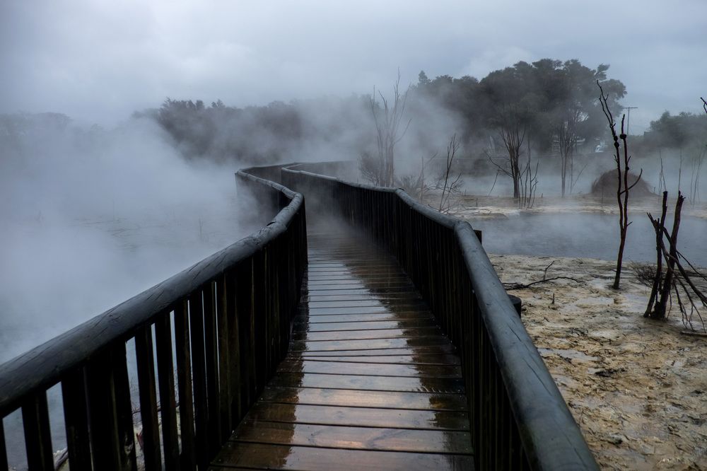 Photograph by Светлана