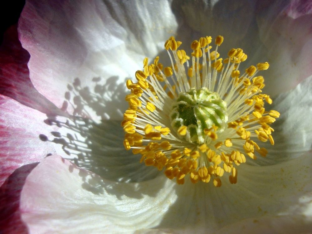 Photograph by Eлена Смирнова