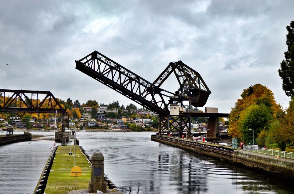 Фотография автора Neil Martin