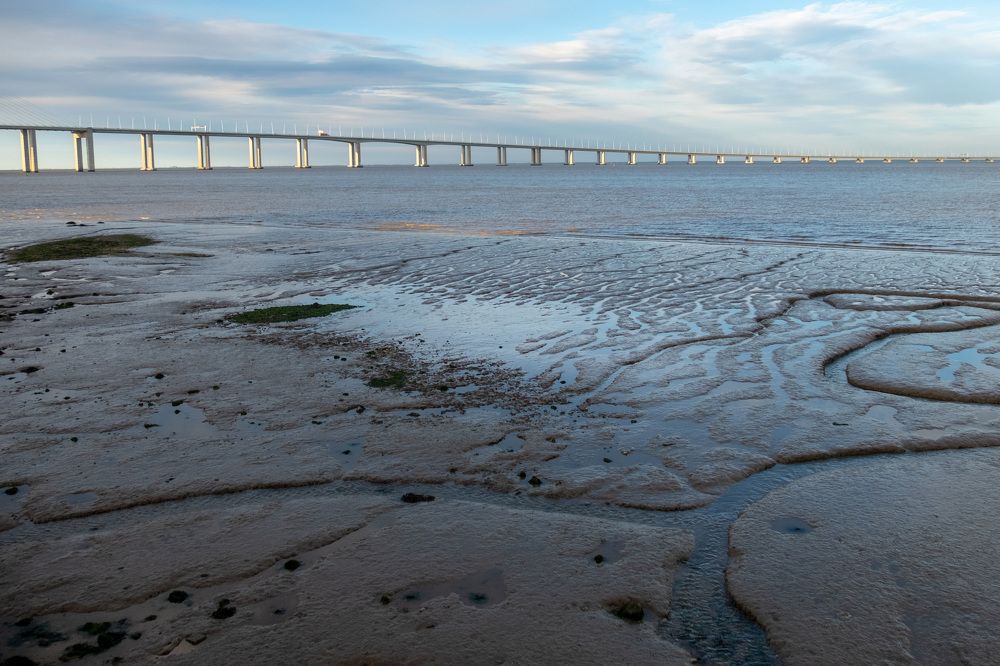 Photograph by Светлана