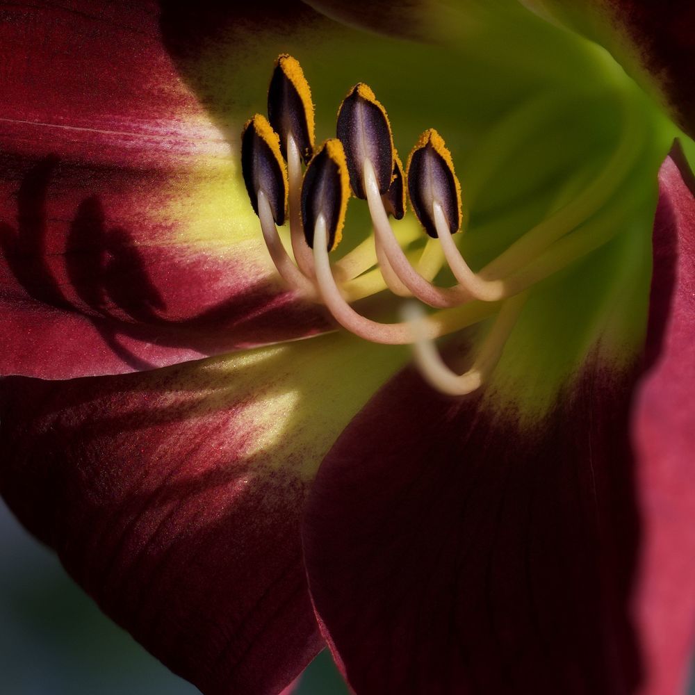 Photograph by Marina Krivitskaya