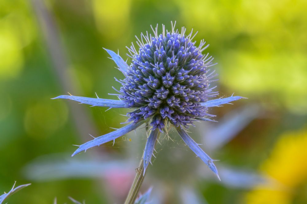 Photograph by Вячеслав Белов