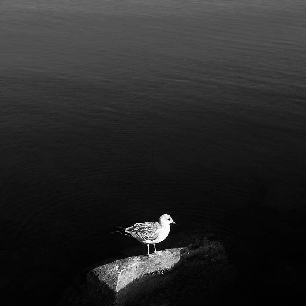 Photograph by Артем Великанов