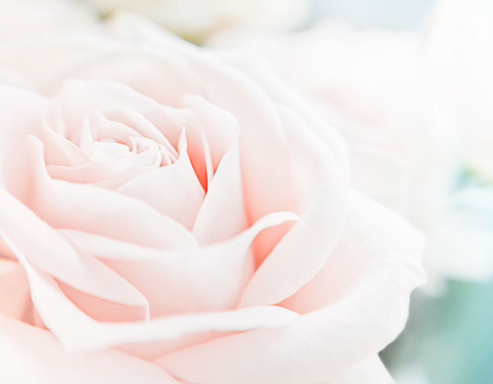 Фотография автора Елена Кабенкина