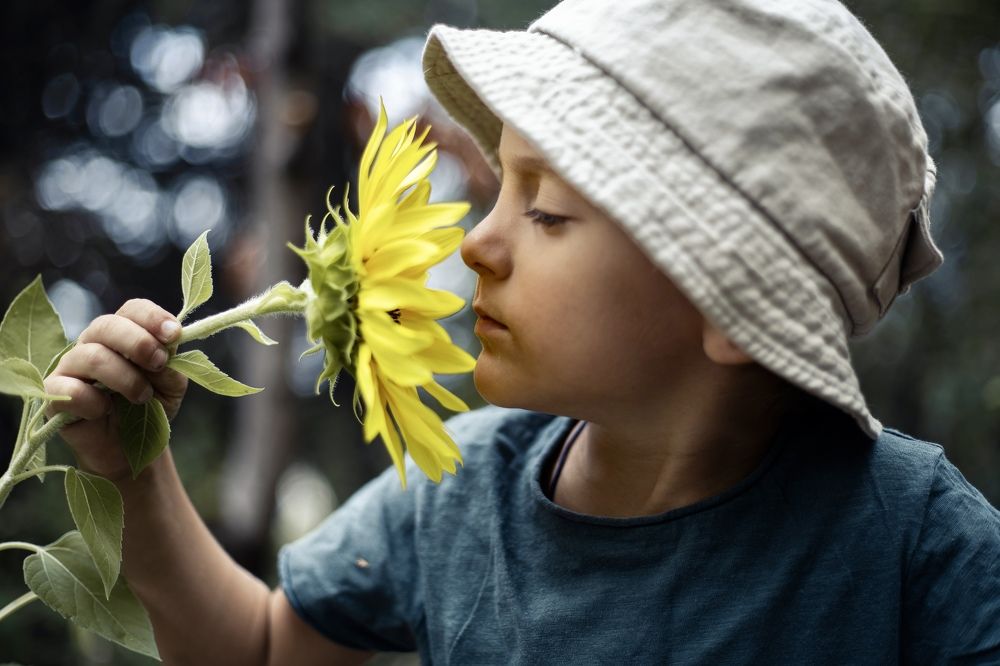 С подсолнухом