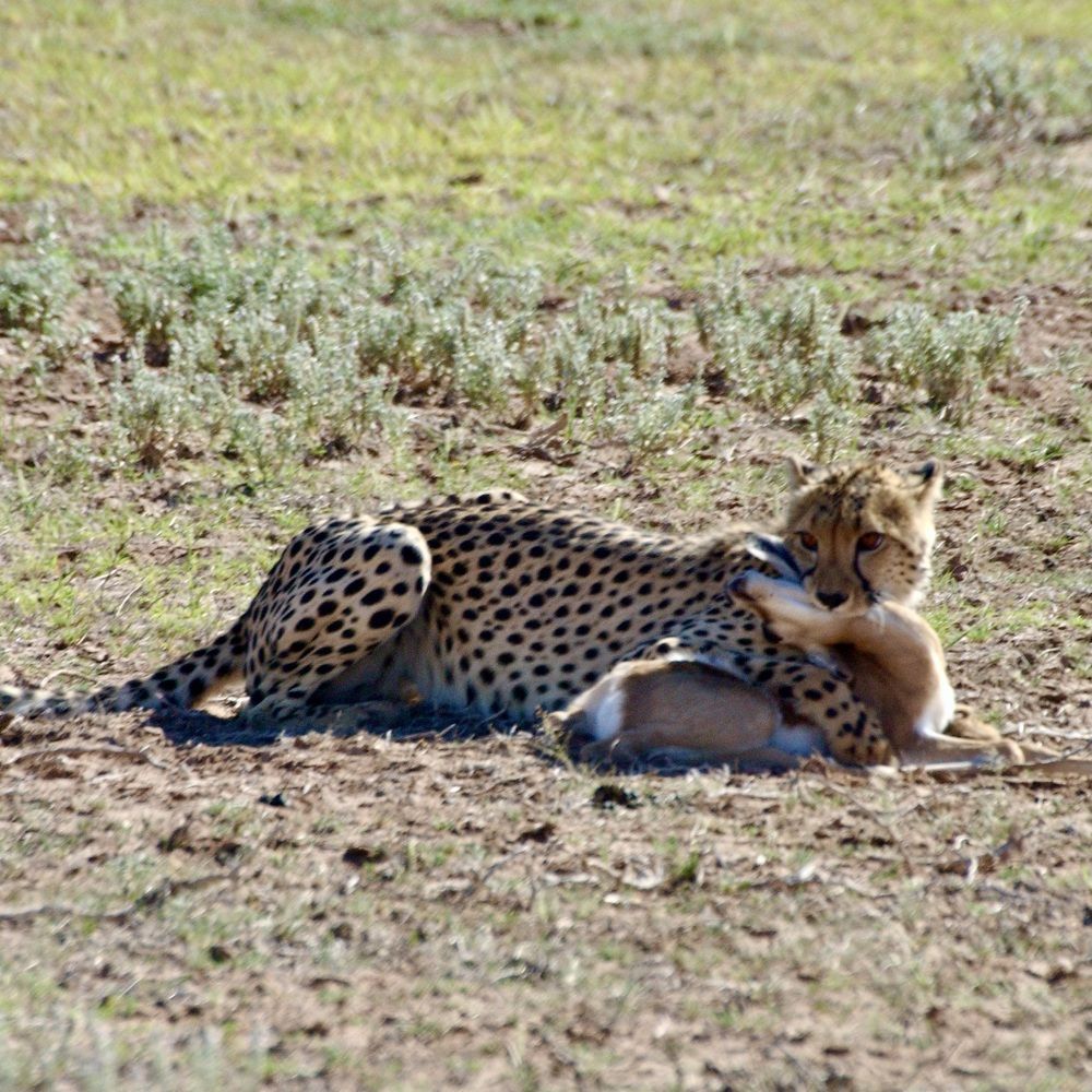 Photograph by Sandra Bruttomesso