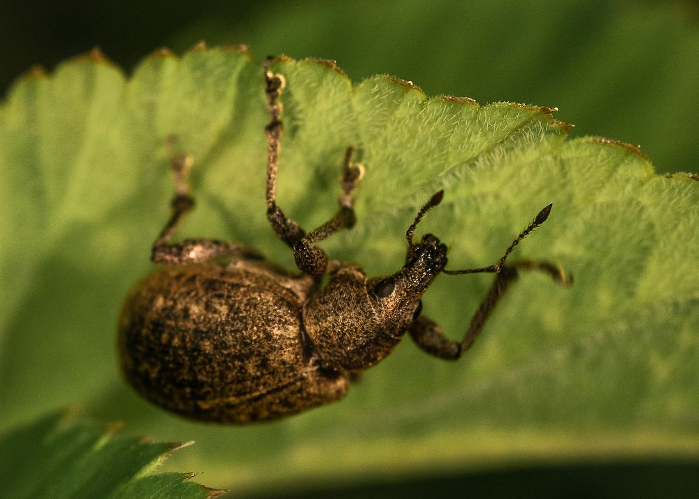 Photograph by Victor Stepanov