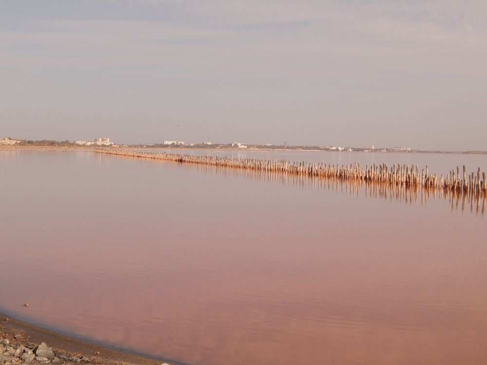 В розовой дымке