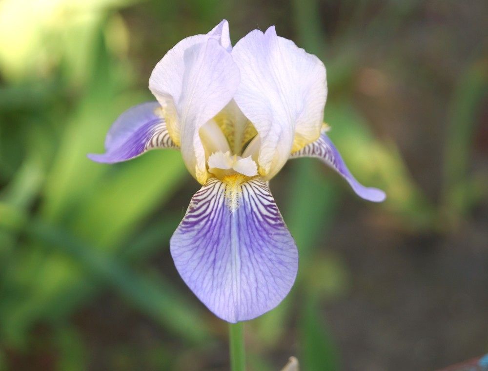 Photograph by Светлана Логинова