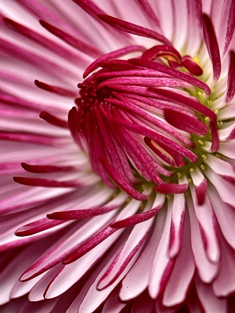 Фотография автора Рамзия Хисамутдинова