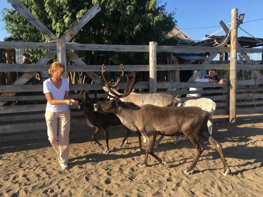 И мне, и мне вкусного ягеля!!!