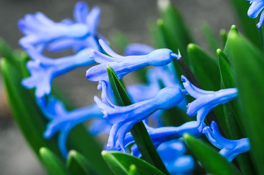 Photograph by Юлия Ковальчук