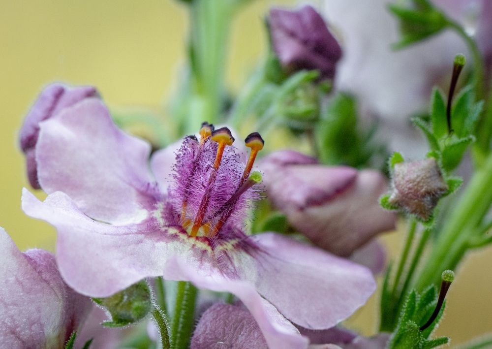 Photograph by Елена Быкова