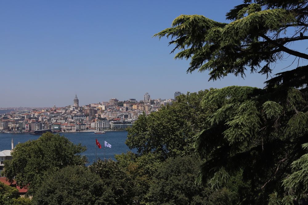 Photograph by Екатерина Журавлева