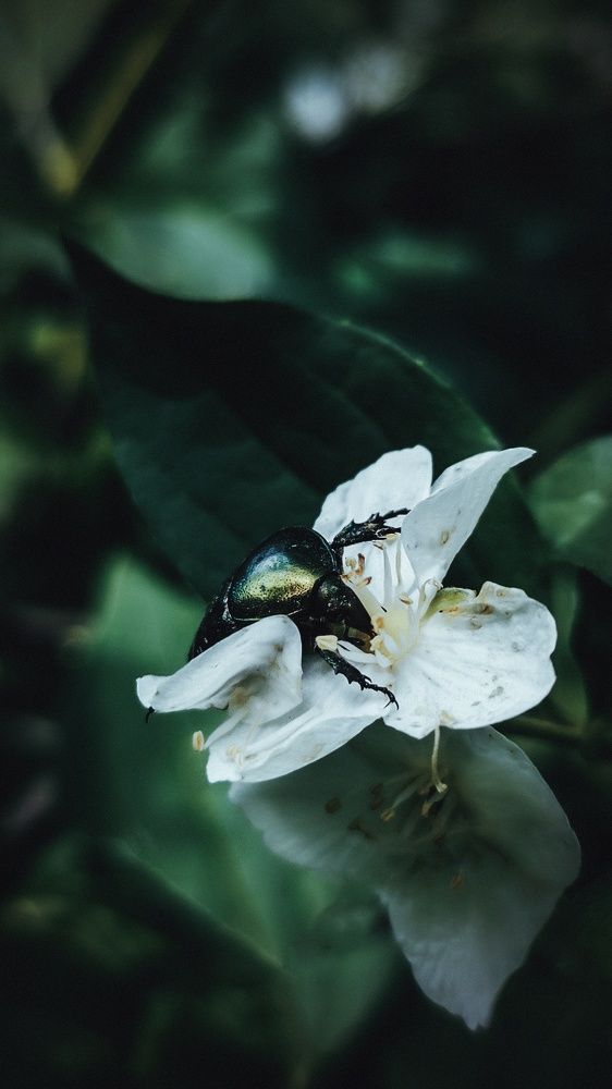 Photograph by Андрей Летов