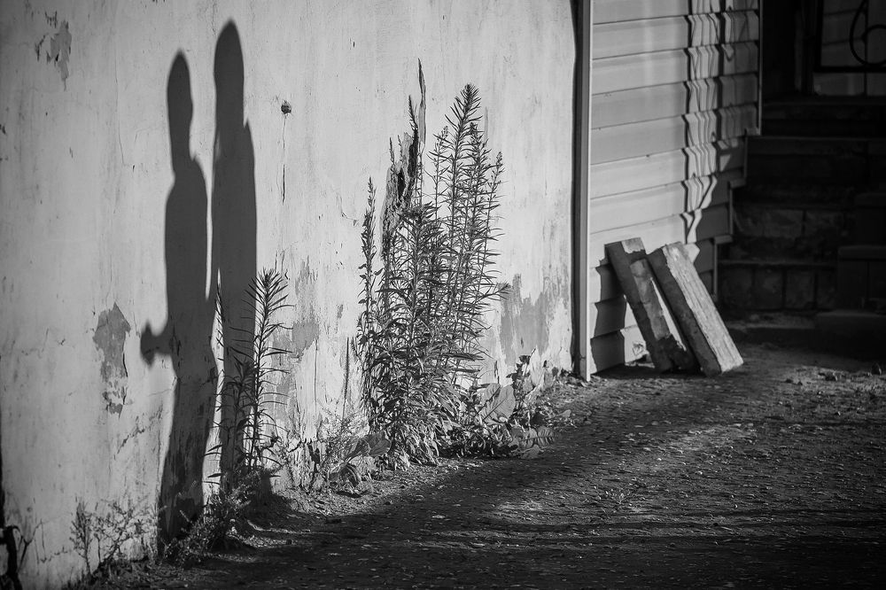 Photograph by Алексей Трифонов