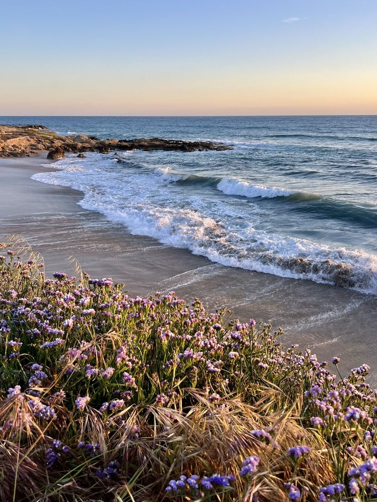 Photograph by Шестакова Наталья