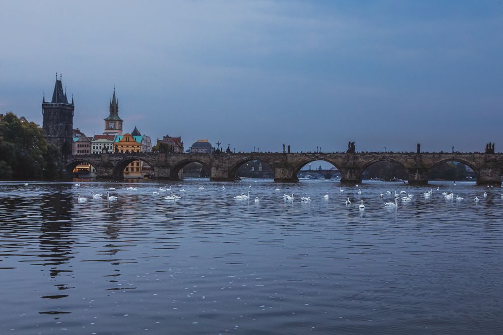 Photograph by Fadi Haroun