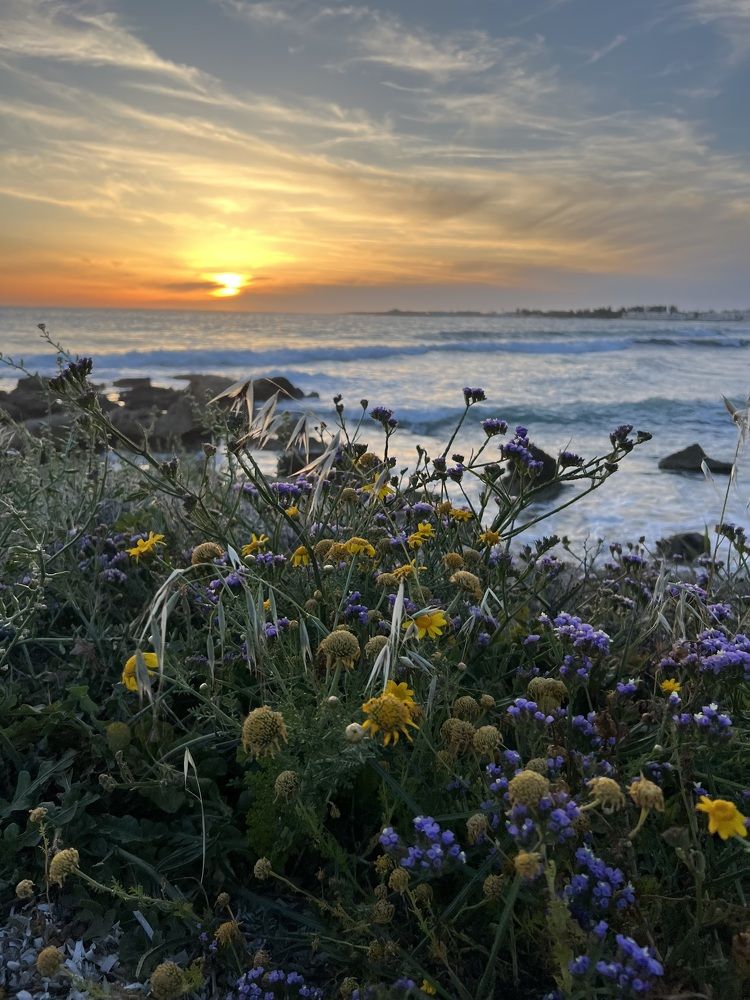 Photograph by Шестакова Наталья