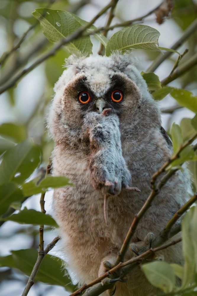Фотография автора Владимир Коровяковский