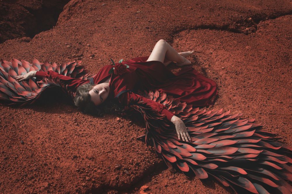 Photograph by Светлана Платонова