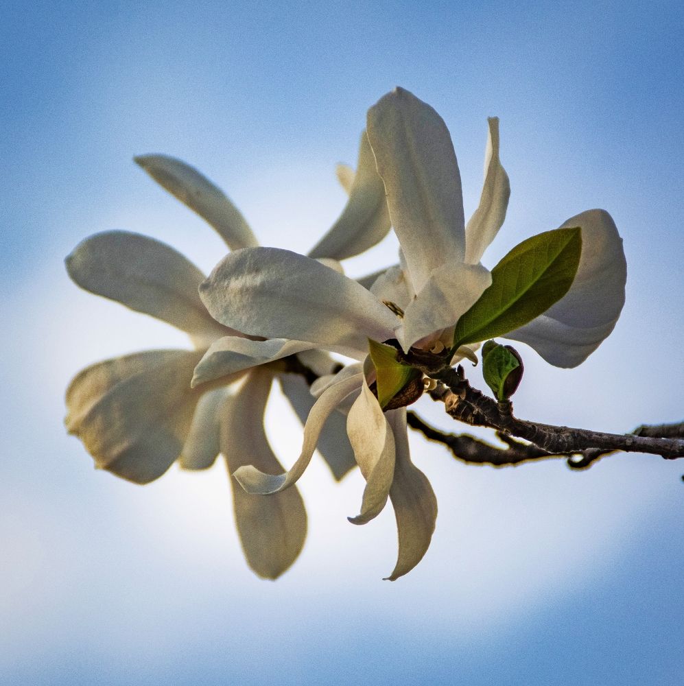 Photograph by Марина Канавченко