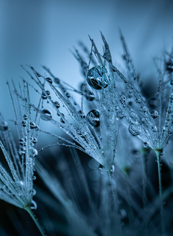 Фотография автора Максим Бессалый