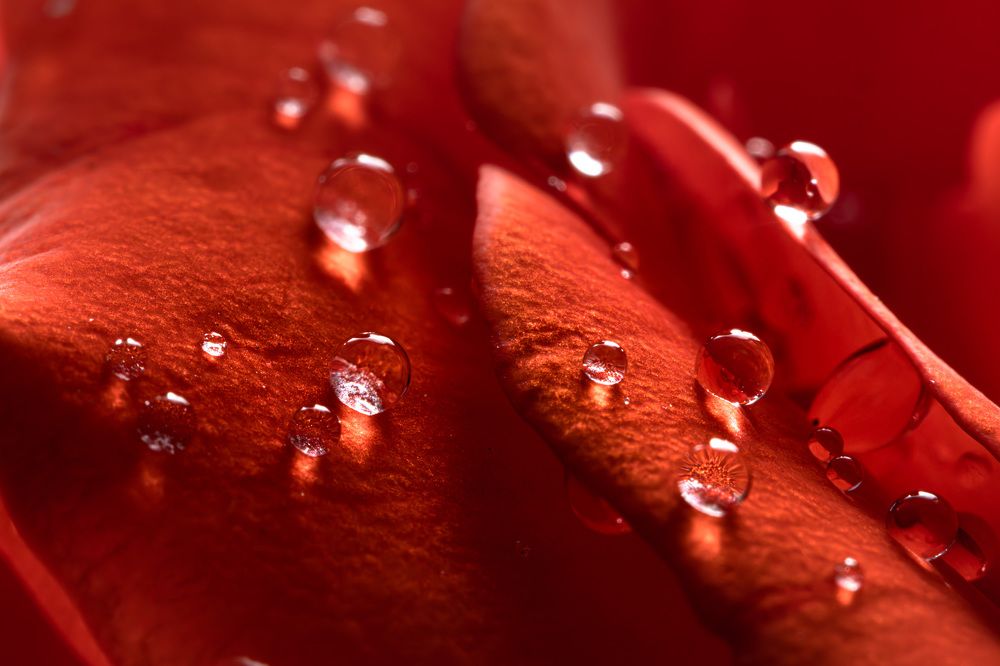 Фотография автора Максим Бессалый