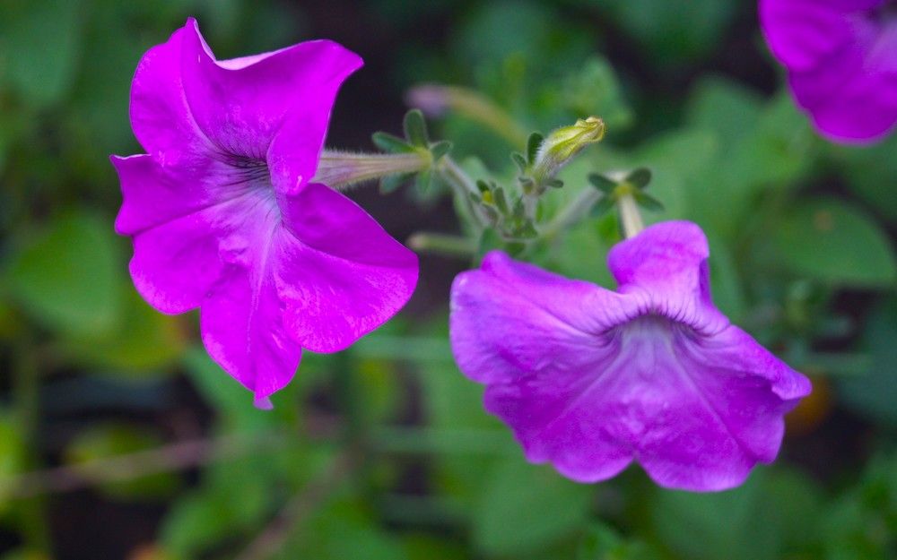 Photograph by Светлана Логинова