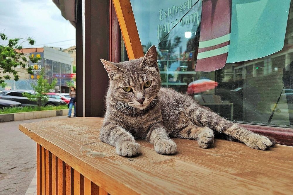 Фотография автора Вера,  Саша  Натан Фотогруппа ВЕСНА