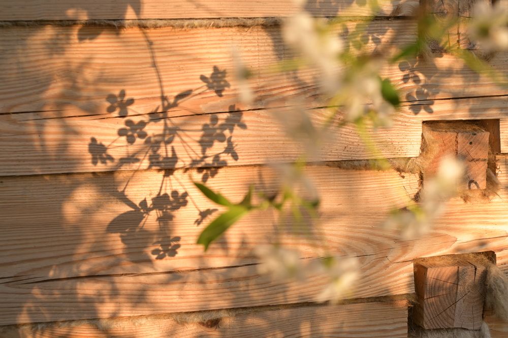 Photograph by Наталья Сергеева