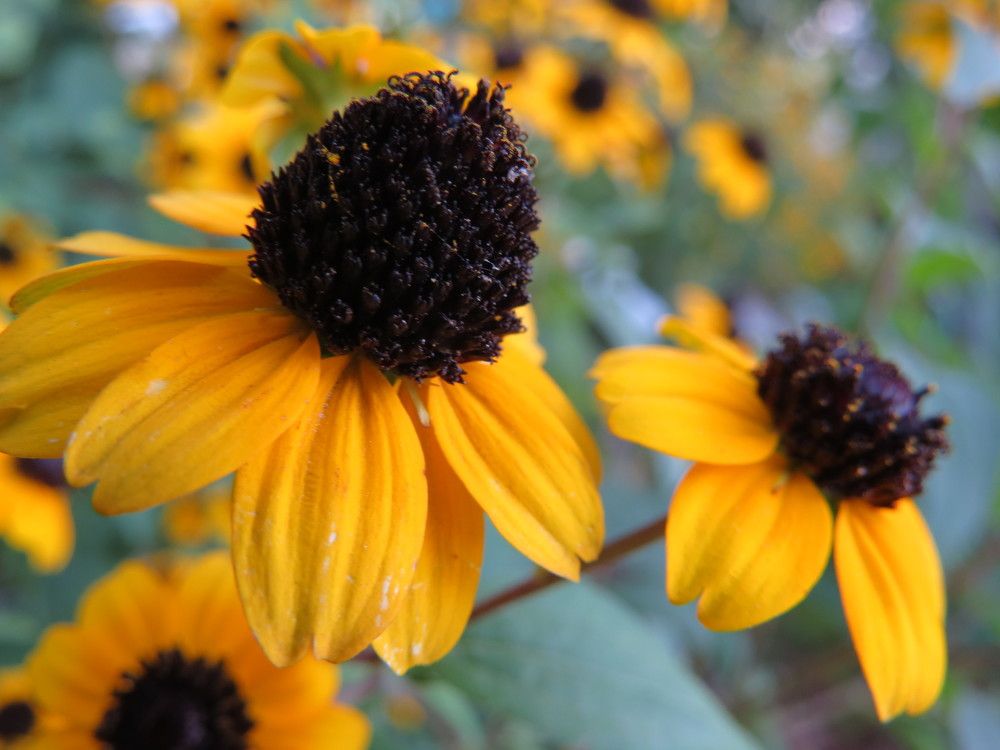 Photograph by Татьяна Стаскевич