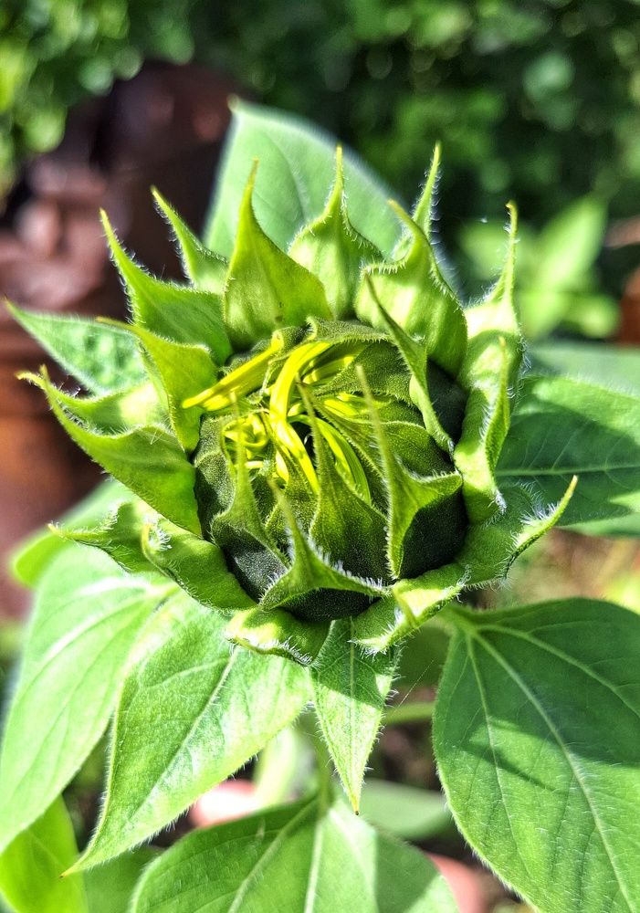 Photograph by Мария Андреева