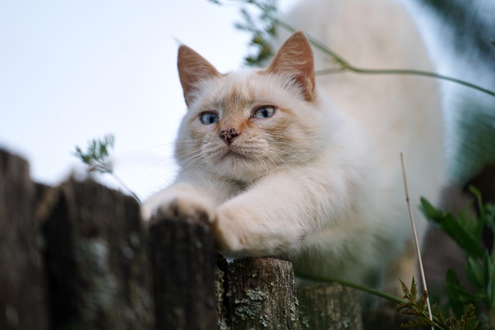 Фотография автора Иннокентий Рябчиков