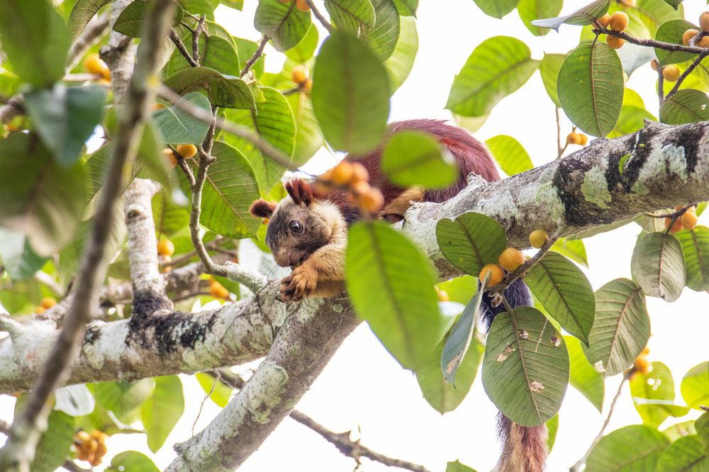 Photograph by Shalini Jain