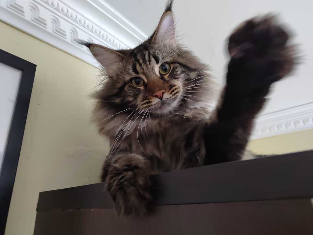 Photograph by Евстигнеев Евгений Васильевич