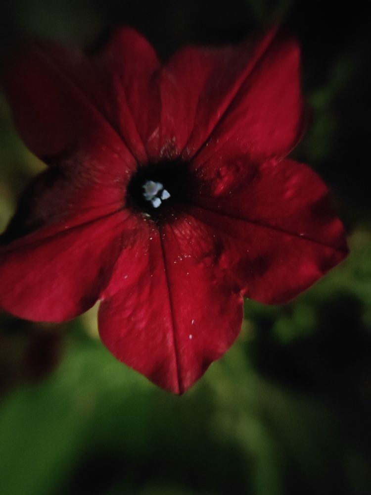 Photograph by Елена Егорова