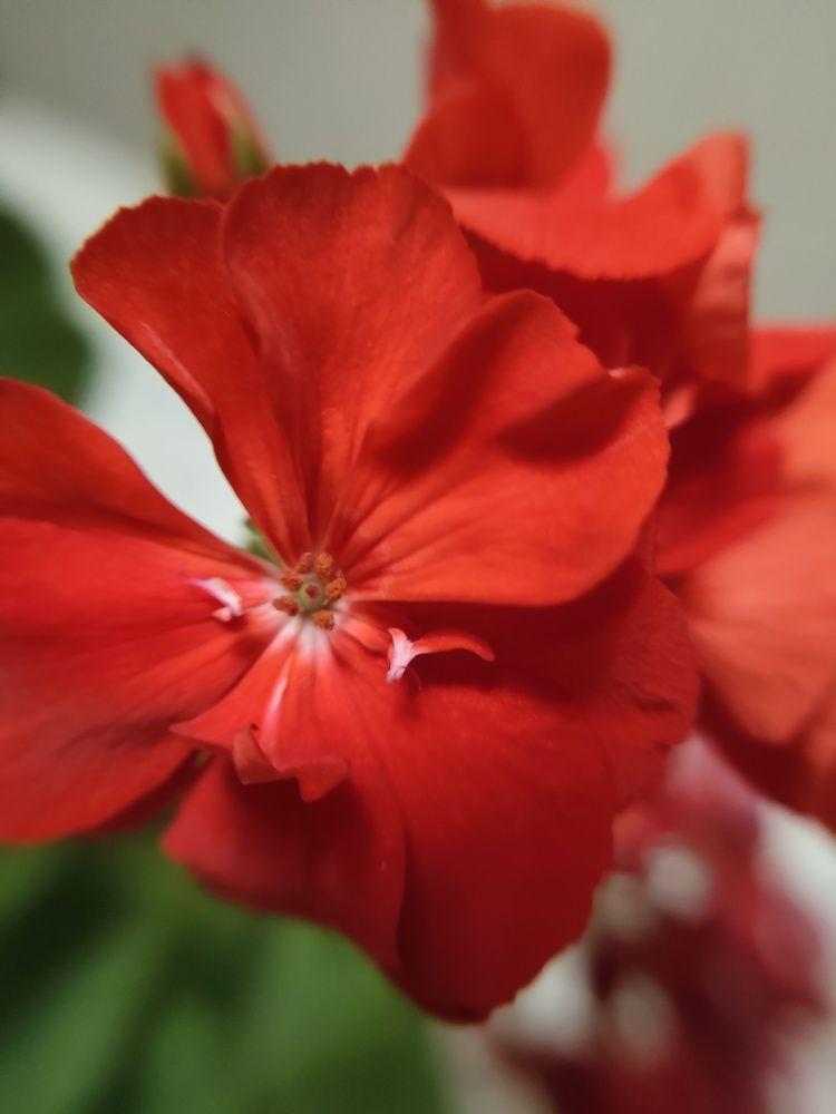 Photograph by Елена Егорова