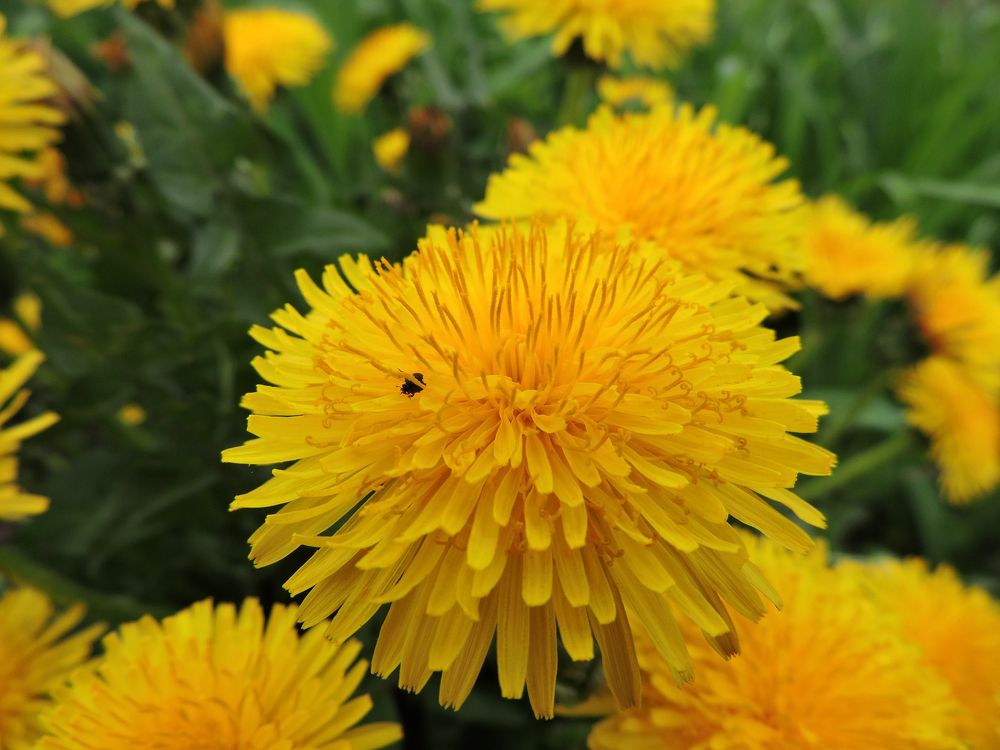 Photograph by Tatiana