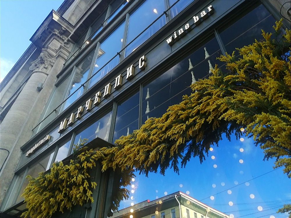 Фотография автора Софья Копейкина