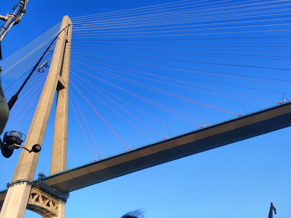 Photograph by Елена Егорова