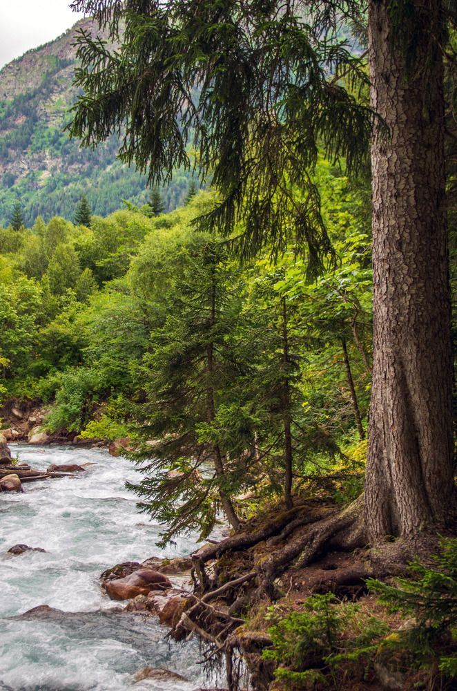 Photograph by Галина Григорьева