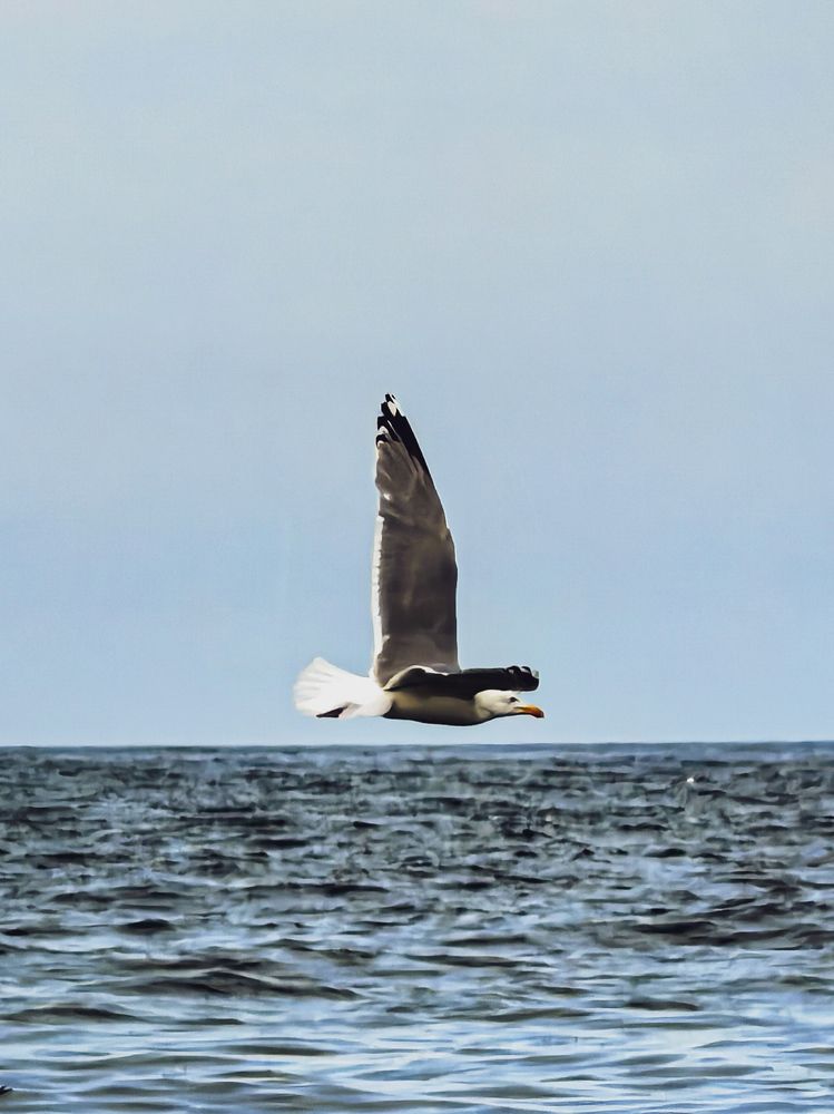 Photograph by Наталья Асоскова