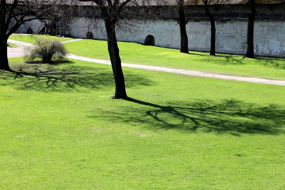 Photograph by Анастасия Свиридова