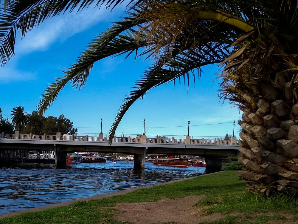 Photograph by Maria Julieta ZURZOLO