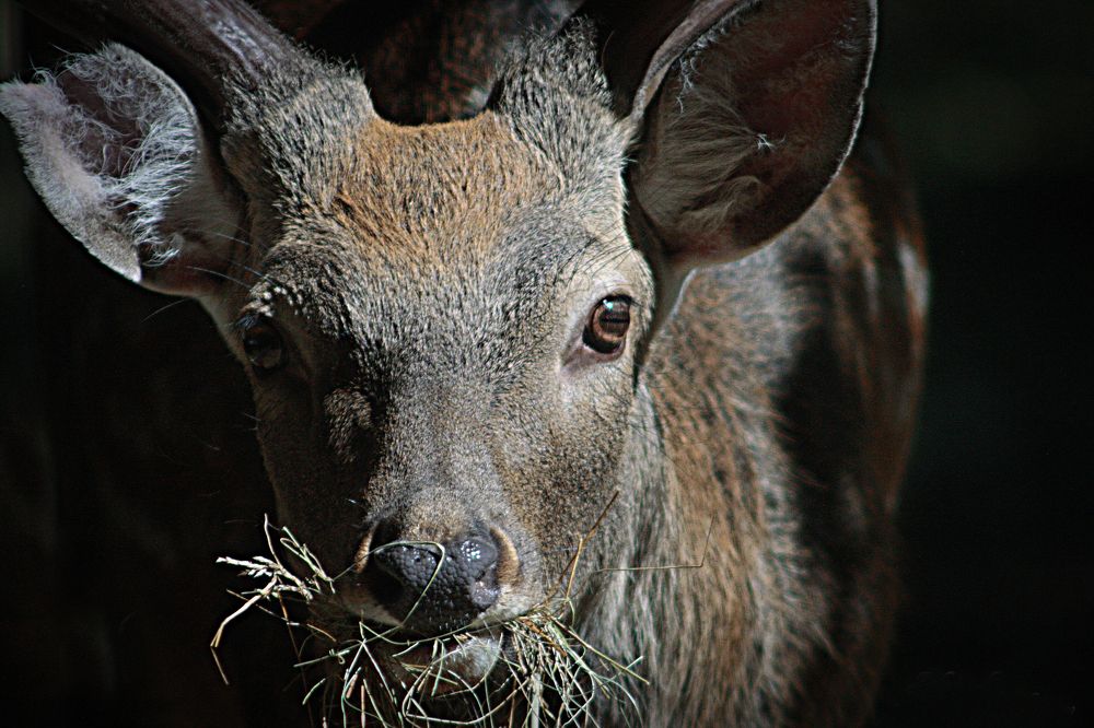 Photograph by Эдуард Попов